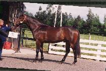 ū�Ǽ� (K��EUN-GWONSE) ����