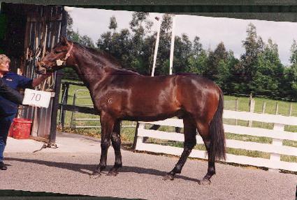 ū�Ǽ� ����