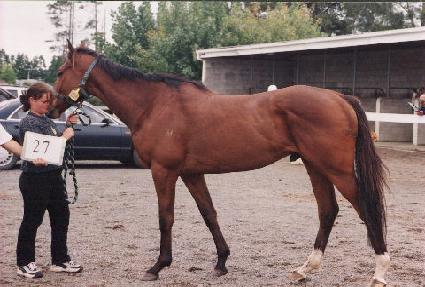 �극�̺�����̽� ����