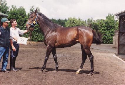 �̽�Ʈ������ ����