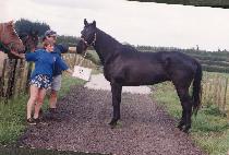 ��ȵ��� (CHEUMUNDONG-I) ����