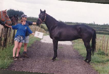 ��ȵ��� ����