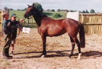 õ��ȫ (CH��EONILHONG) ����