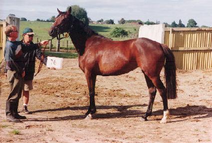 õ��ȫ ����