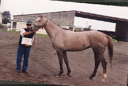 ���� ����