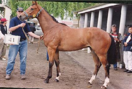 ��������Ŀ ����