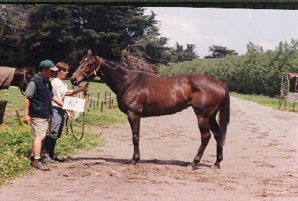 ����ũ����׸� ����