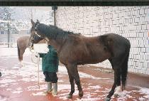 ��Ʈ�� (VINTRAS) ����