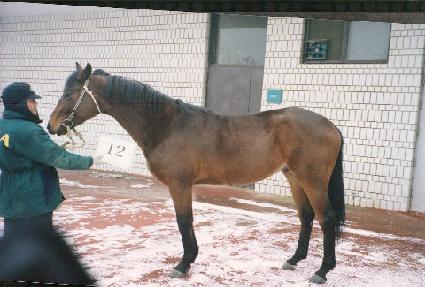 ����ġ ����