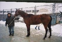 ��Ƽ�� (TETIVA) ����