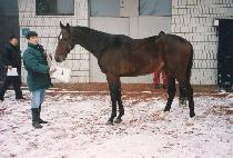 ���ٳ��Ʈ�� (GALVANOMETR) ����