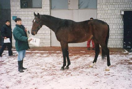 ���ٳ��Ʈ�� ����