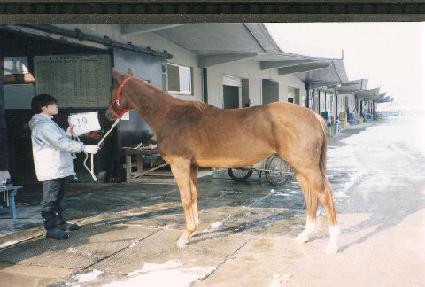 ���� ����