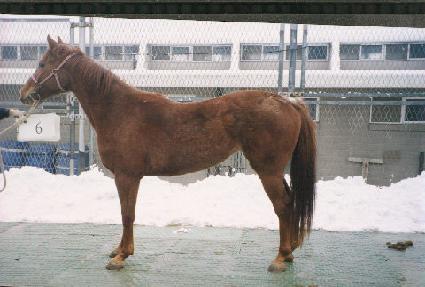 �ƺ��λ� ����