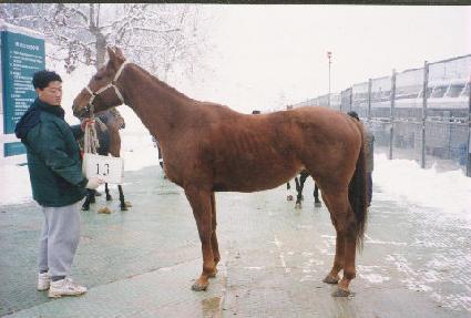 ����ũ ����