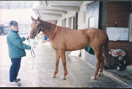 �Ʒ���Ÿ ����