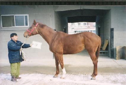 ���� ����