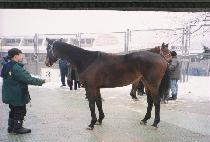 �ؽ����� (TEKSTURA) ����