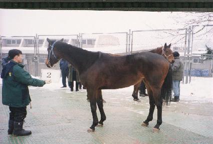 �ؽ����� ����