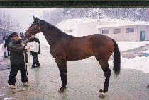 �������� (ESEMBAJ) ����