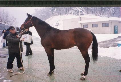 �������� ����