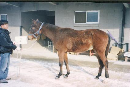 ��������ī�� ����