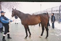 ���̼� (DAJSEN) ����