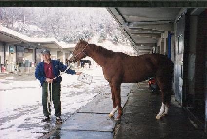 �ٸ��� ����