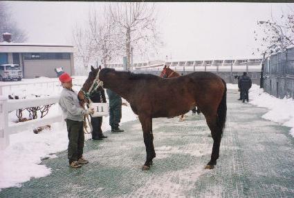 �߷���� ����