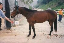 ������ (MURYANGSU) ����