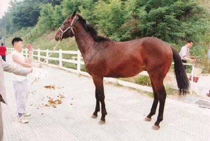 ���� ����