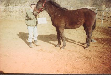 ��������ƾ ����