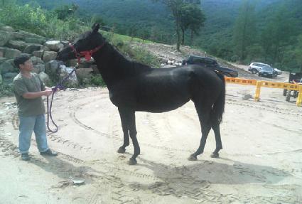 Ȳ�ݻ�� ����