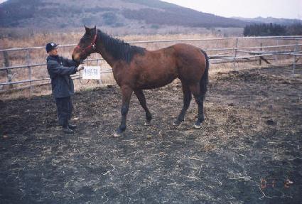 ���߾� ����