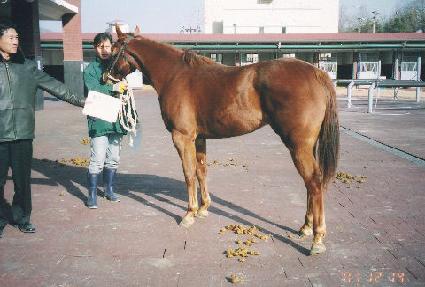 �츮û�� ����