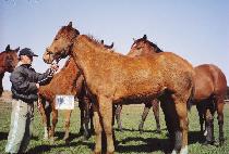 ���� (HIP HOP) ����