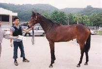 ���ӿ��� (GOSOK YEOLCHA) ����