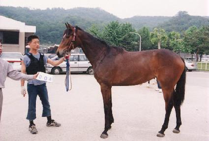 ���ӿ��� ����