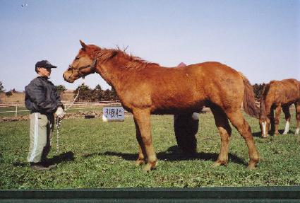 �ٶ����� ����