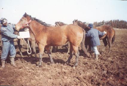 ��۽ô� ����