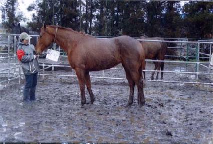 ���� ����