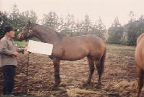 ����õ�� (SEONBONG CHEONHA) ����