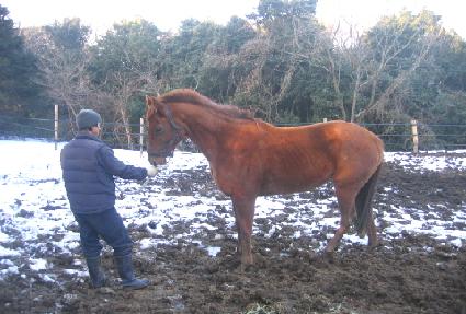 ����� ����