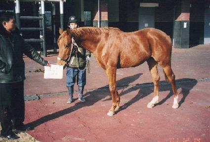 ž��� ����