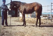 ����Ž�� (JEIL TAMNA) ����