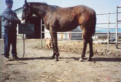 ����Ž�� ����