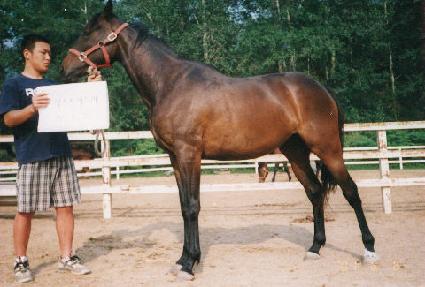 �����ȷν� ����