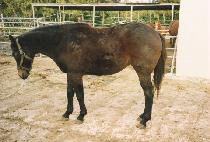 ��� (DEUNG MYEONG) ����