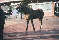 �鼮õ�� (BAEKSEOK CHEONHA) ����