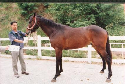 ��ƼǮ������ ����